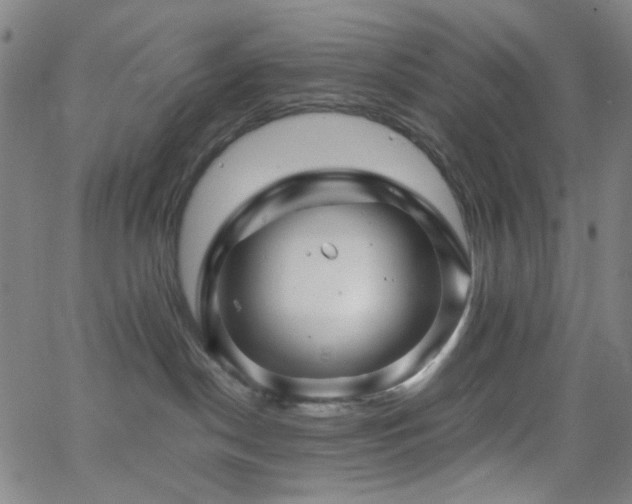 X0000063440190200601201204