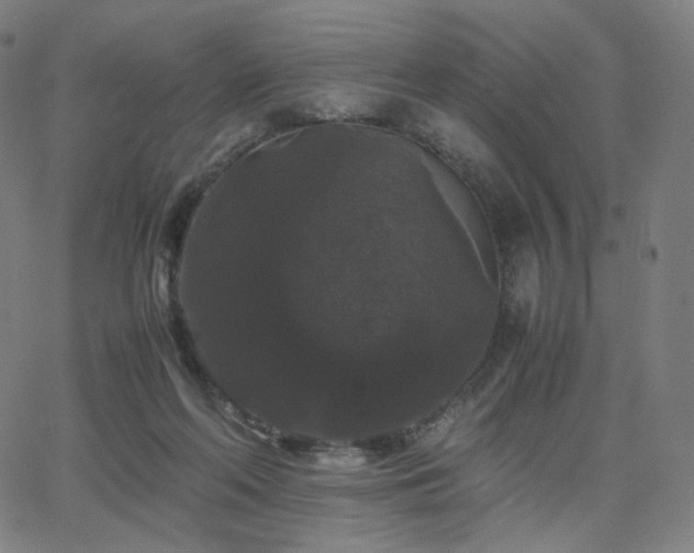 X0000063440214200601201203