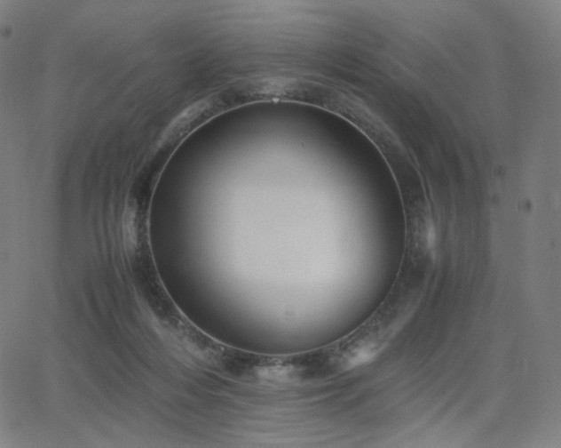 X0000063440216200601201203