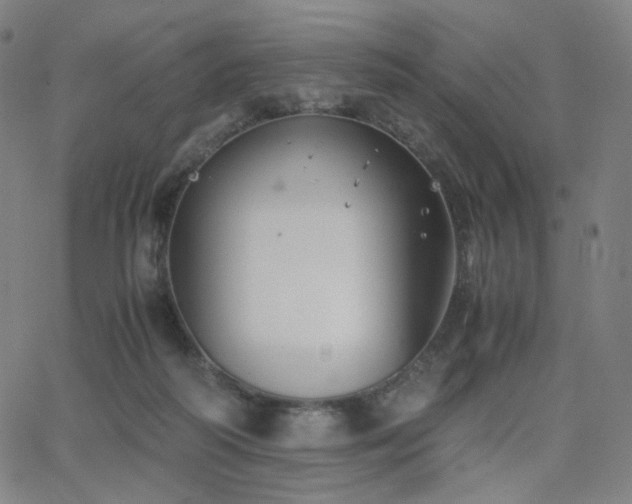 X0000063440218200601201203