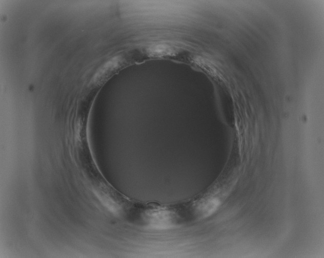 X0000063440219200601201203
