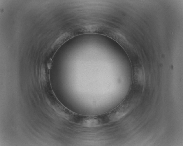 X0000063440220200601201203