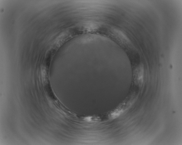 X0000063440222200601201203