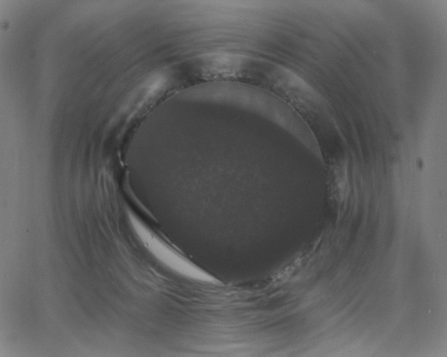 X0000063440224200601201203