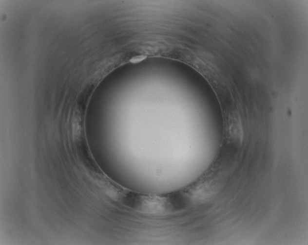 X0000063440226200601201203