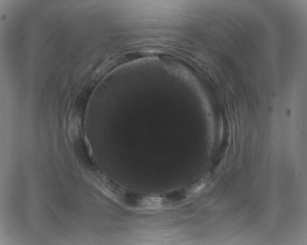 X0000063440227200601201203