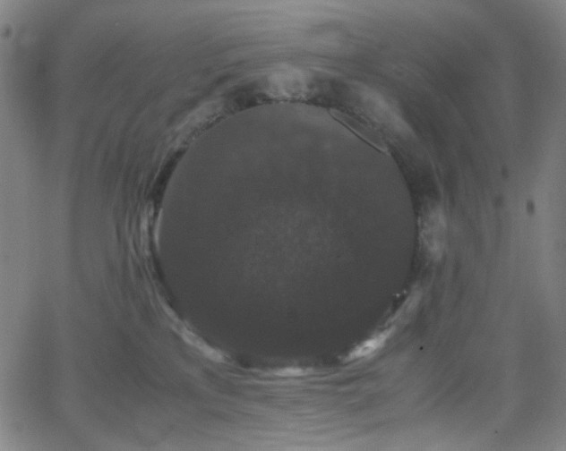 X0000063440233200601201203