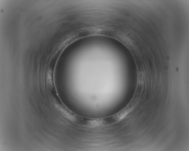 X0000063440238200601201203