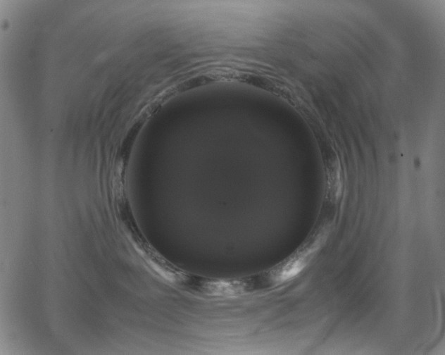 X0000063440239200601201203