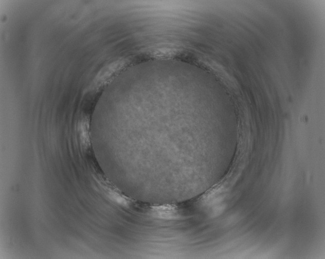 X0000063440240200601201203