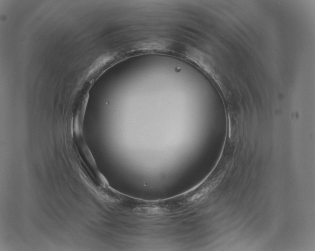 X0000063440253200601201202