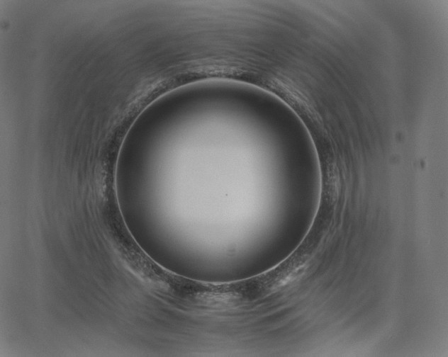 X0000063440255200601201202