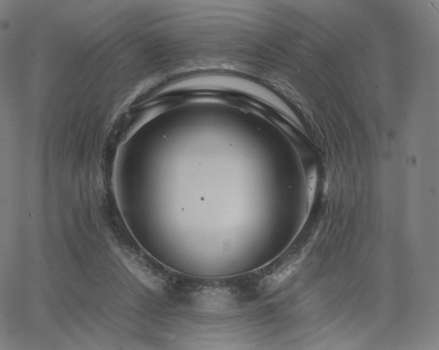 X0000063440256200601201202