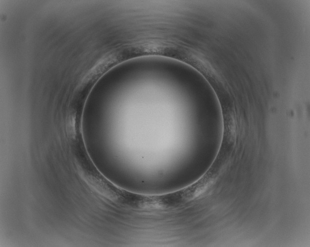 X0000063440262200601201202