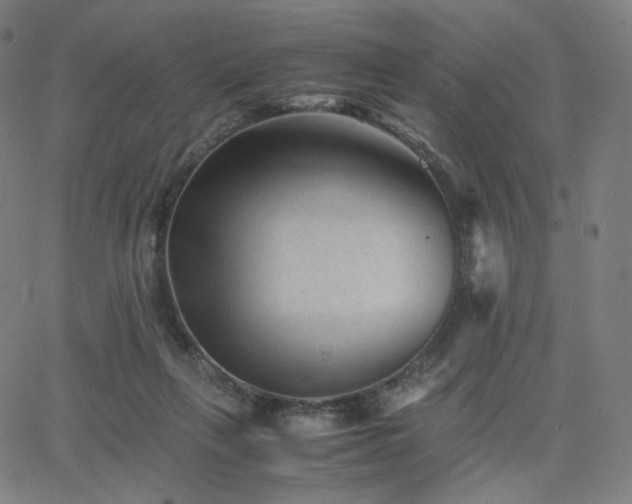 X0000063440263200601201202