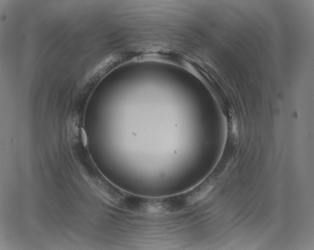 X0000063440264200601201202