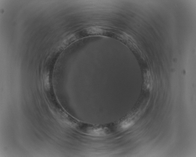 X0000063440267200601201202