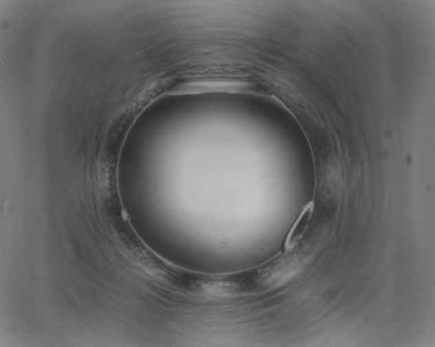 X0000063440268200601201202