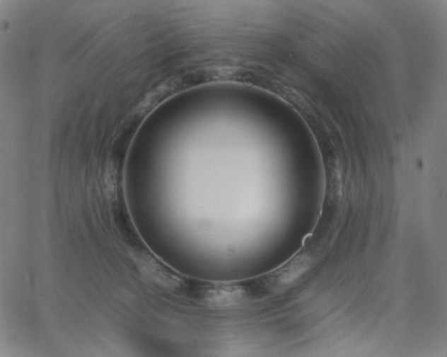 X0000063440274200601201202
