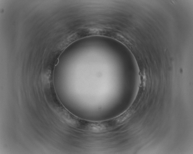 X0000063440275200601201202
