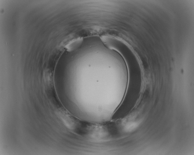 X0000063440276200601201202