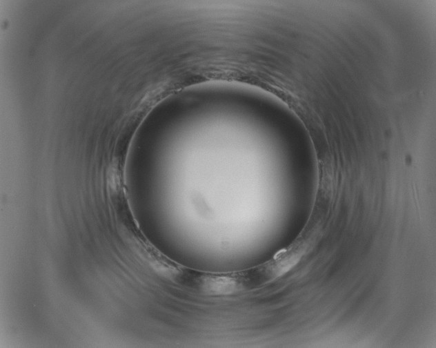 X0000063440287200601201203