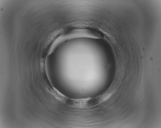 X0000063440288200601201203