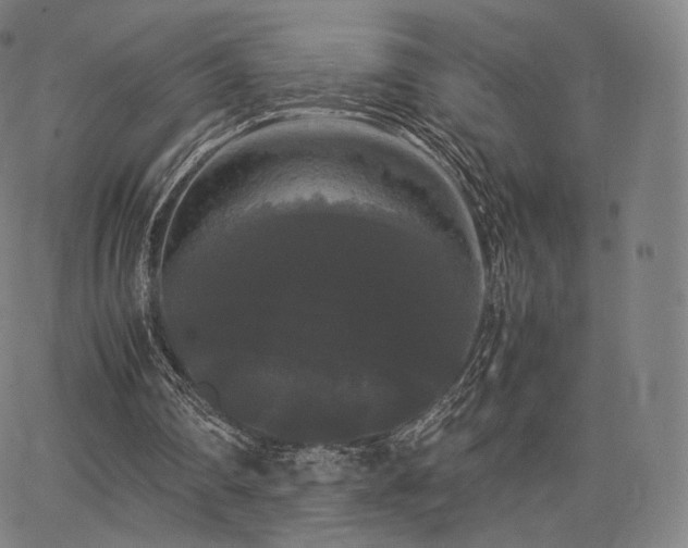 X0000063440290200601201202