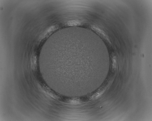X0000063440308200601201201