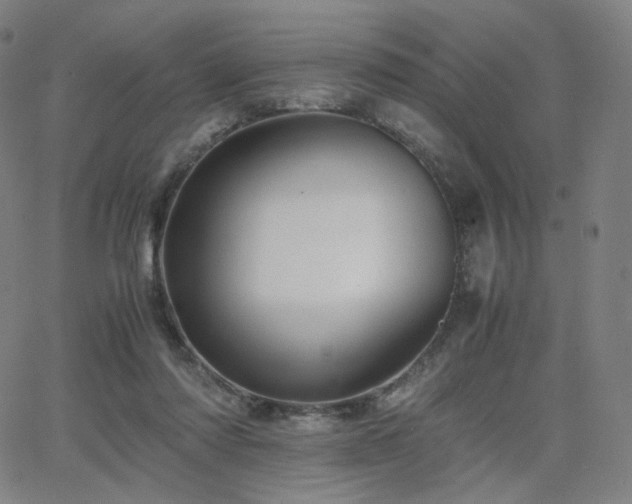 X0000063440310200601201201