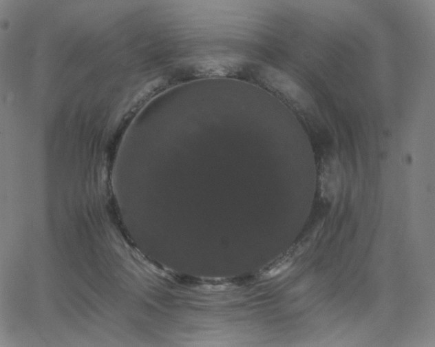 X0000063440314200601201201