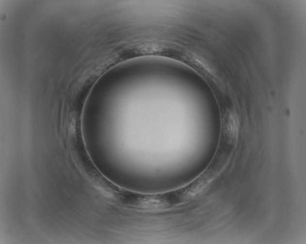 X0000063440315200601201201