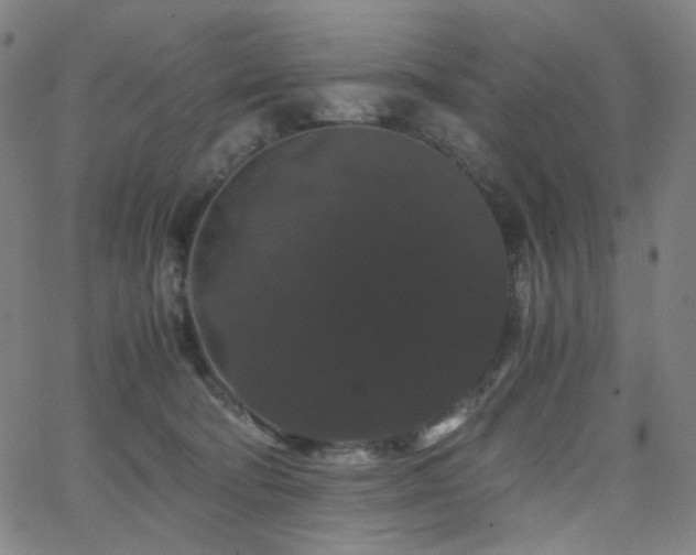 X0000063440322200601201201