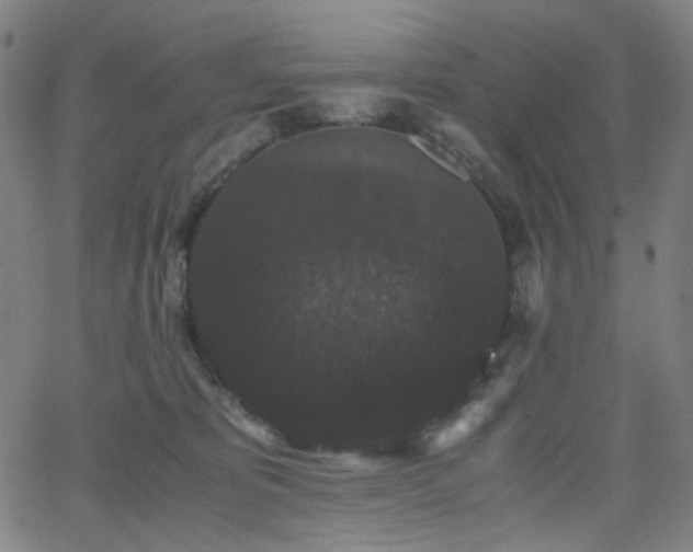 X0000063440325200601201201