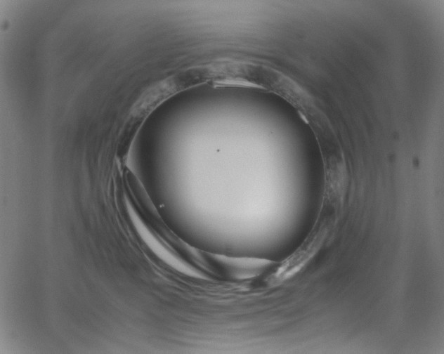 X0000063440333200601201201