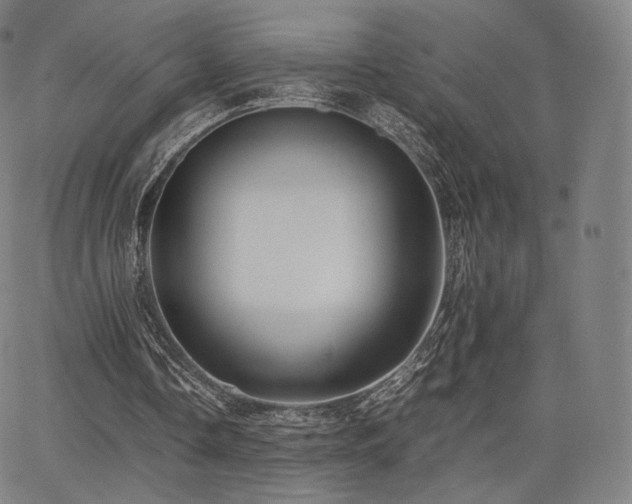 X0000063440338200601201200