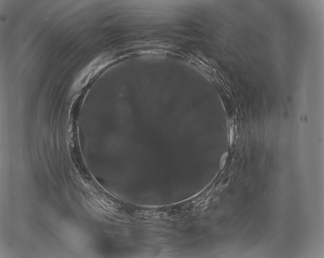 X0000063440339200601201200