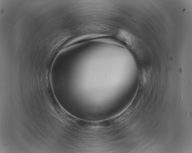 X0000063440360200601201201