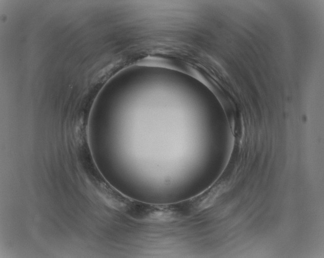 X0000063440364200601201201