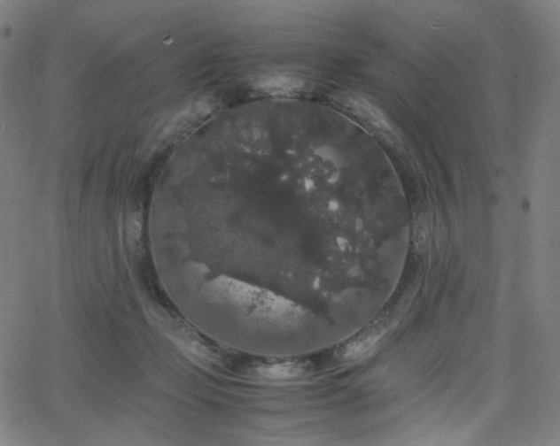 X0000063440365200601201201