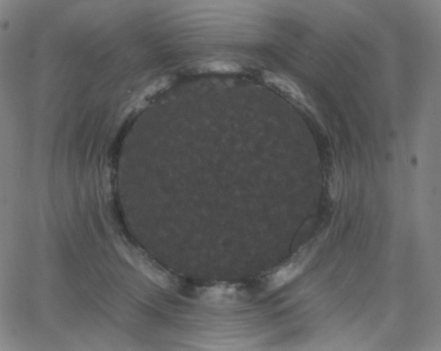 X0000063440366200601201201