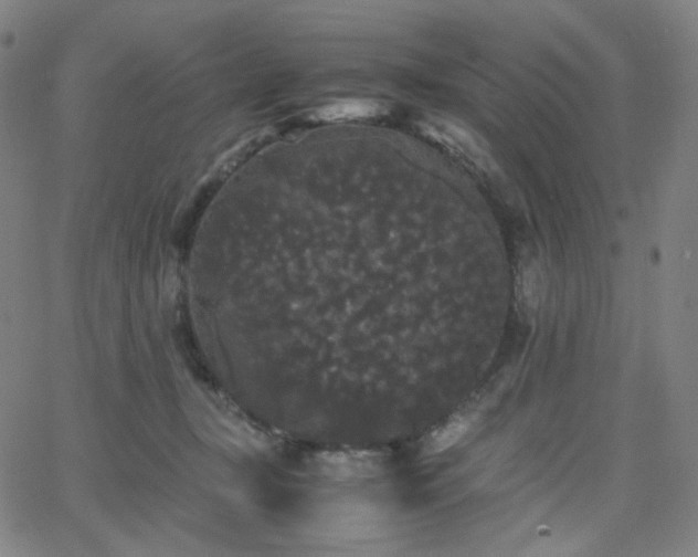 X0000063440367200601201201