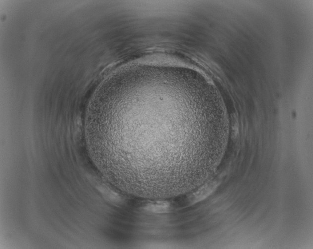 X0000063440369200601201201