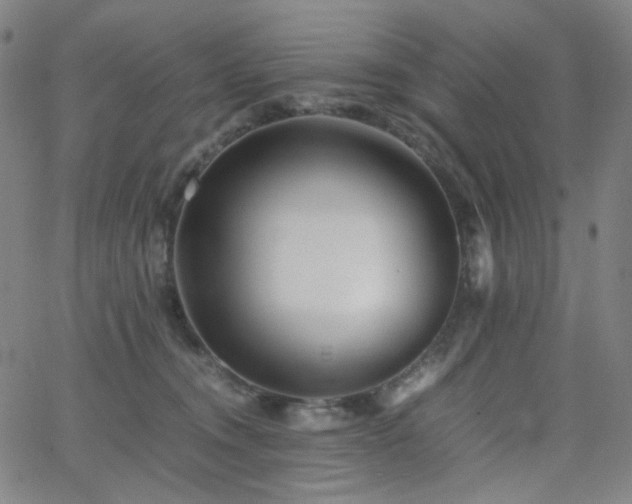 X0000063440372200601201201