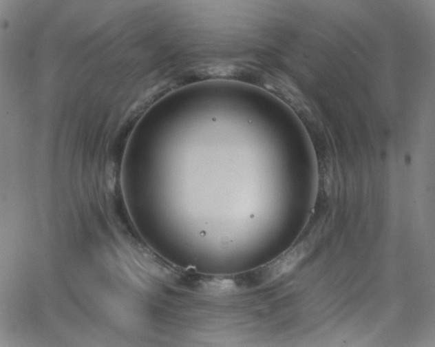X0000063440374200601201201