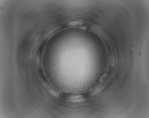 X0000063440375200601201201