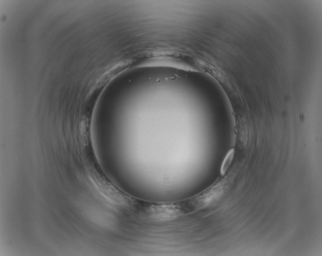 X0000063440378200601201201