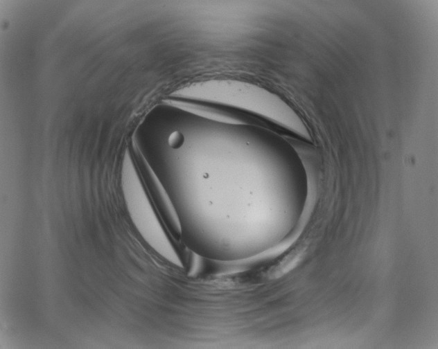 X0000063440384200601201201