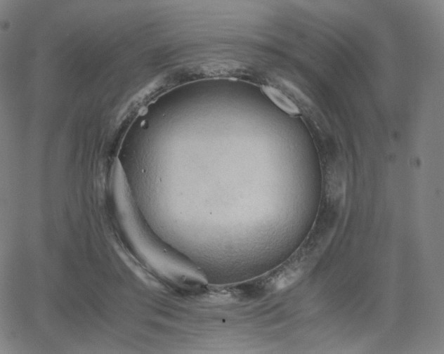X0000063440405200601201200