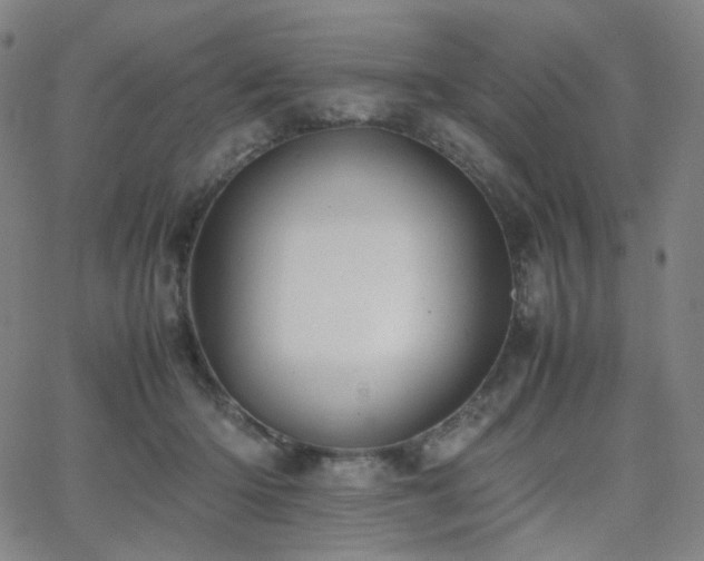 X0000063440414200601201200